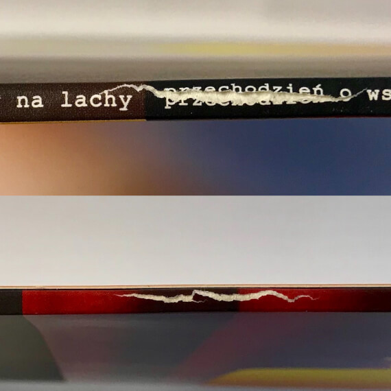 STRACHY NA LACHY- LP „Przechodzień o wschodzie” (S.P.  RECORDS)  2017 