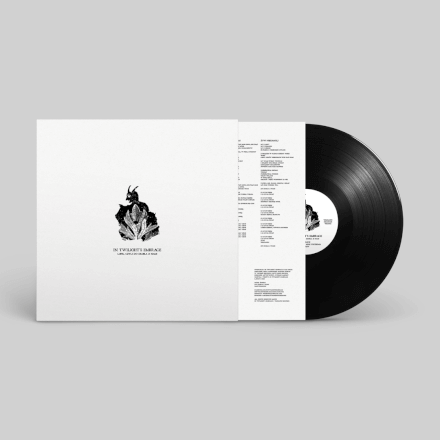 IN TWILIGHT'S EMBRACE 