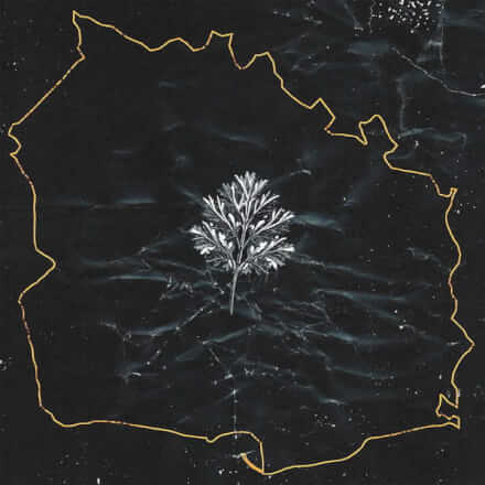 IN TWILIGHT'S EMBRACE 